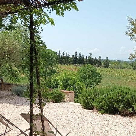 Bastide Au Milieu Des Vignes Et Des Oliviers Aupsヴィラ エクステリア 写真