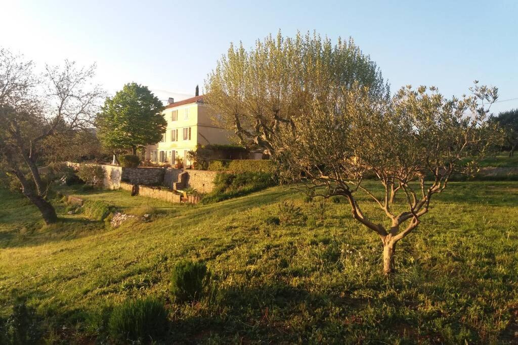 Bastide Au Milieu Des Vignes Et Des Oliviers Aupsヴィラ エクステリア 写真