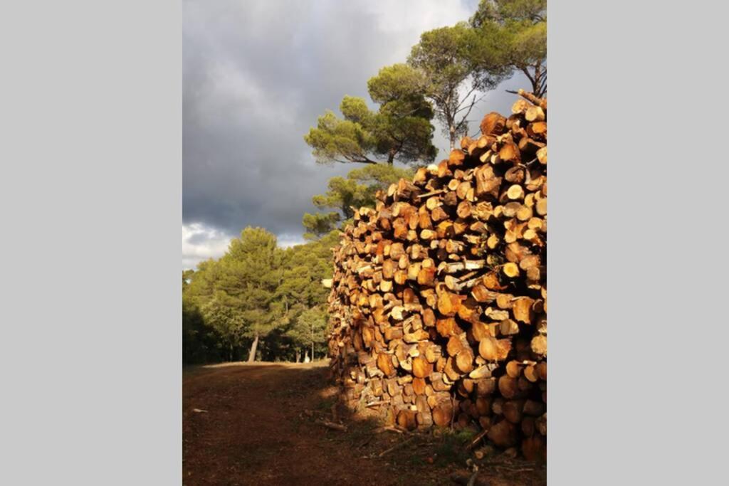 Bastide Au Milieu Des Vignes Et Des Oliviers Aupsヴィラ エクステリア 写真