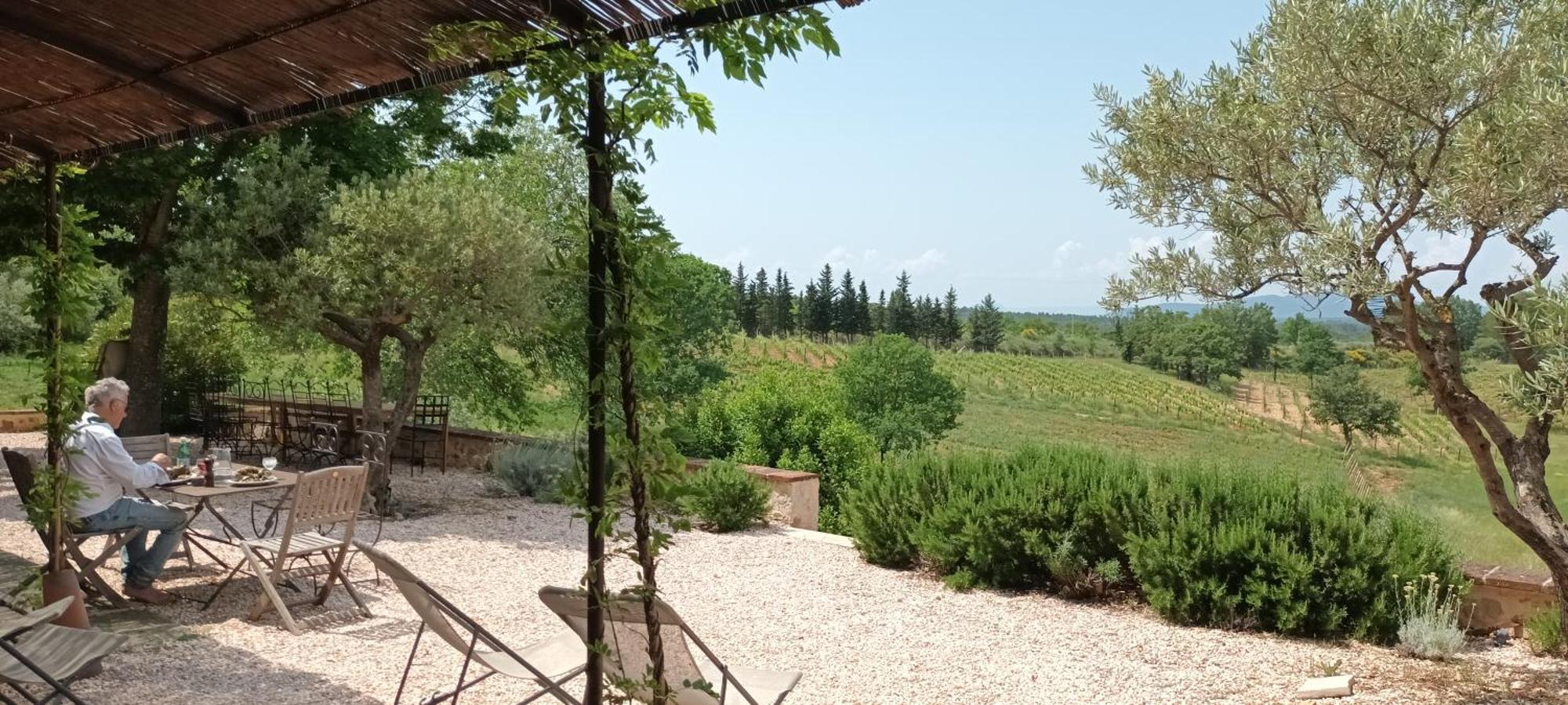 Bastide Au Milieu Des Vignes Et Des Oliviers Aupsヴィラ エクステリア 写真