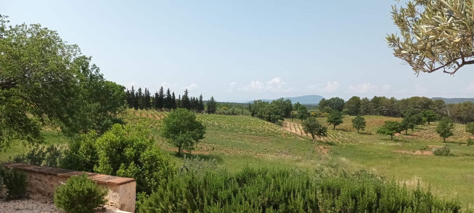 Bastide Au Milieu Des Vignes Et Des Oliviers Aupsヴィラ エクステリア 写真